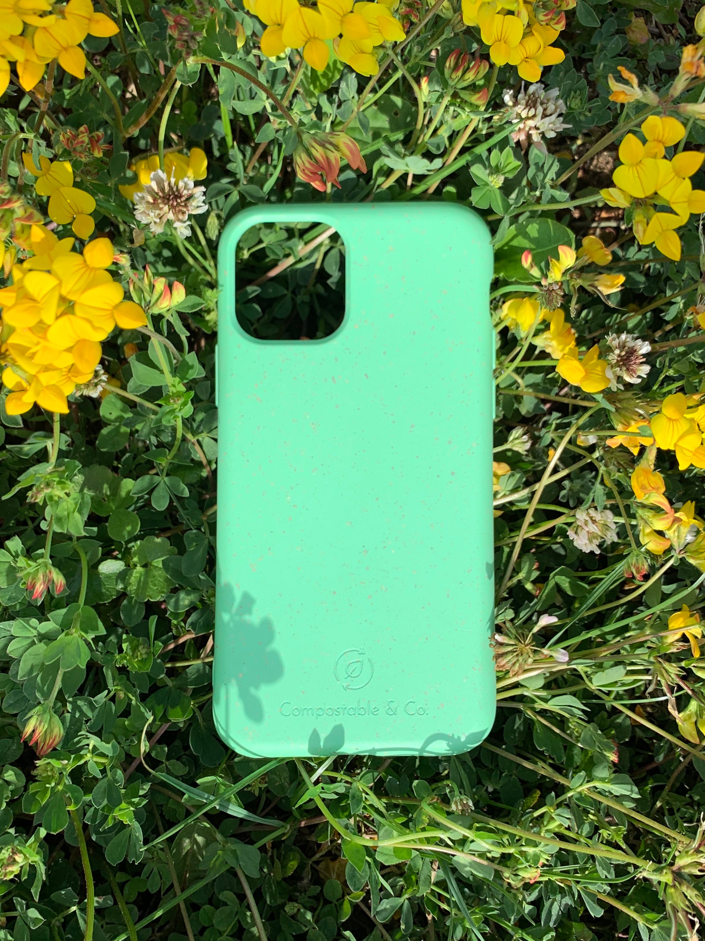 Compostable & Co. iPhone 11 pro green biodegradable phone case with natural background