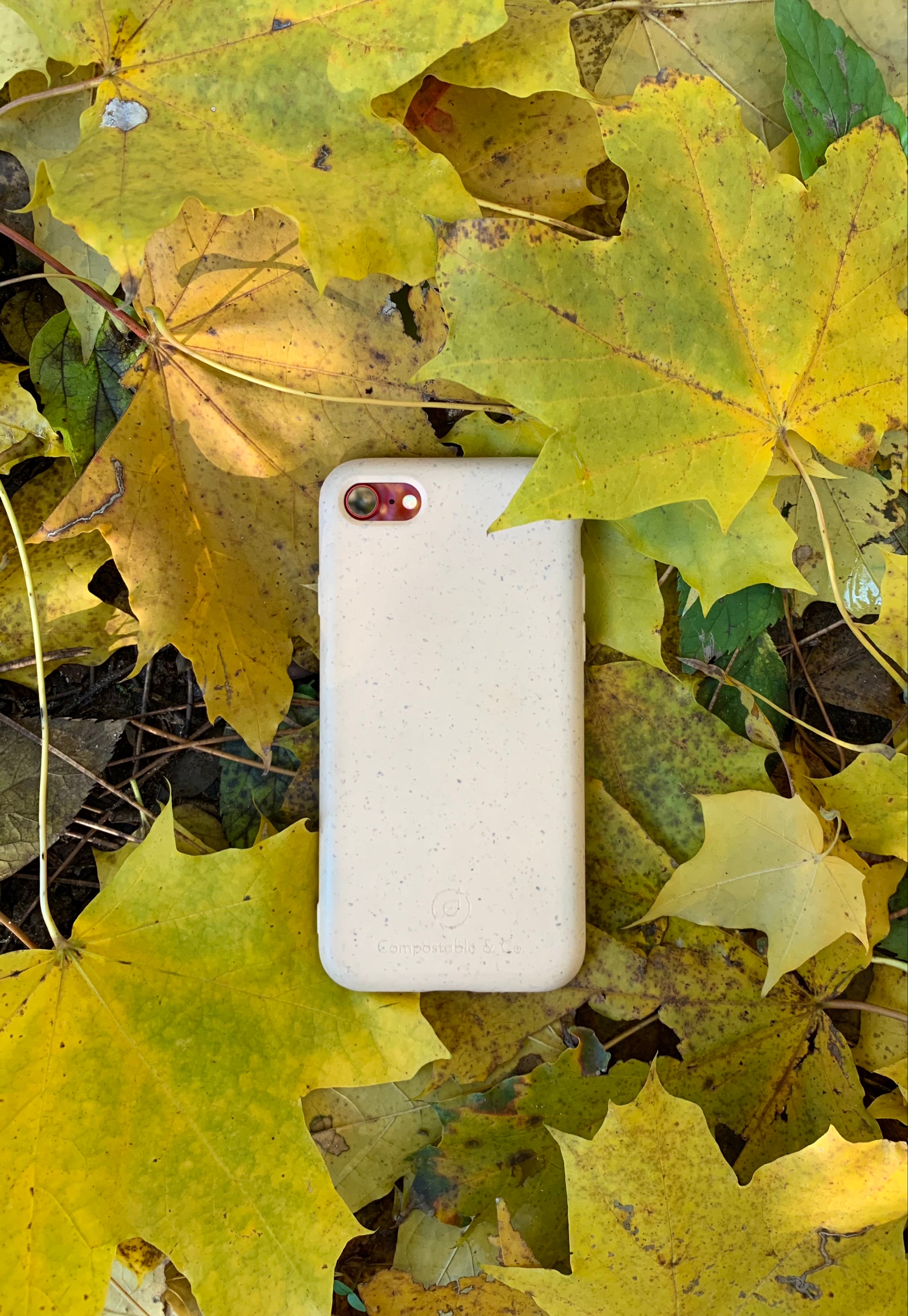 Compostable & Co. iPhone 7 / 8 / SE 2020 white biodegradable phone case in nature