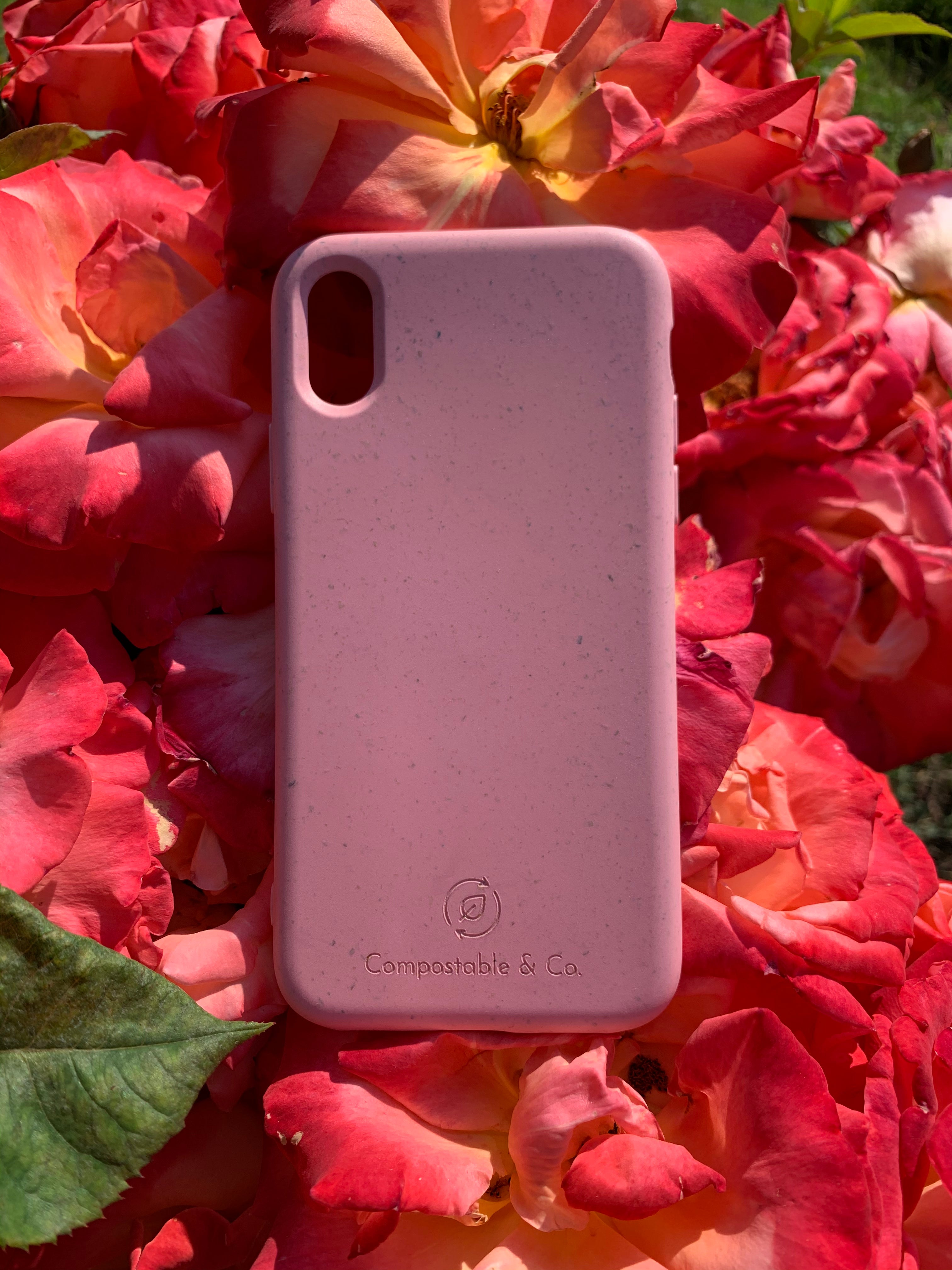 Compostable & Co. iPhone x / xs pink biodegradable phone case with rose background