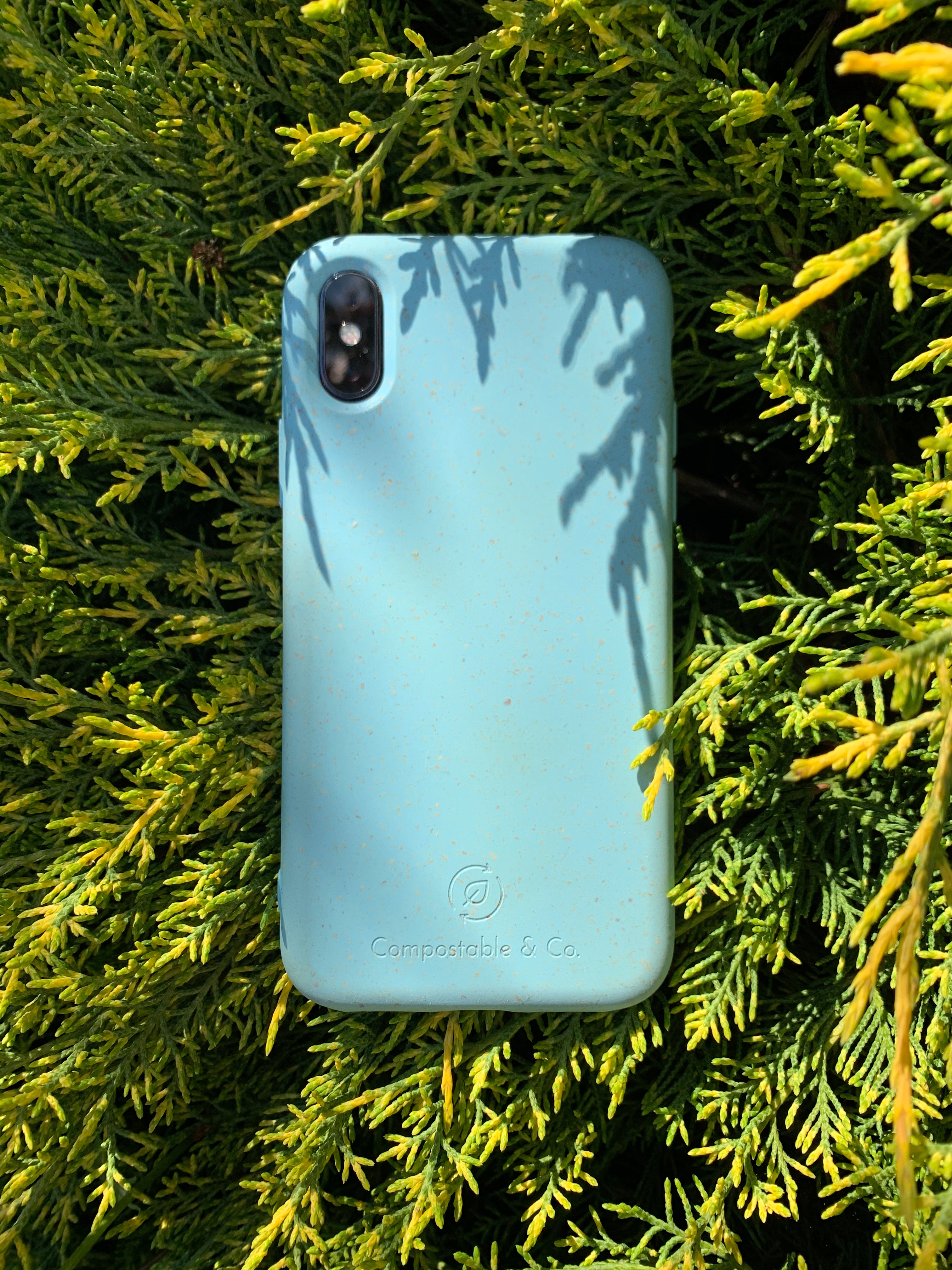 Compostable & Co. iPhone xr blue biodegradable phone case with natural background